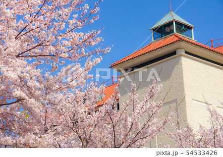 宝塚大劇場と桜の咲く風景 宝塚大劇場と桜の咲く風景 54533426