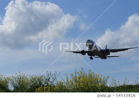 飛行機 菜の花 飛行機 菜の花 54533816