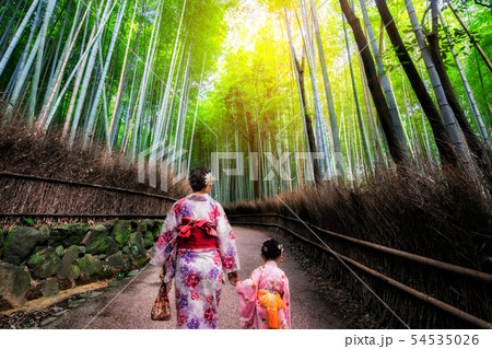 Traveler in Bamboo Forest Grove, Kyoto, Japan Traveler in Bamboo Forest Grove, Kyoto, Japan 54535026