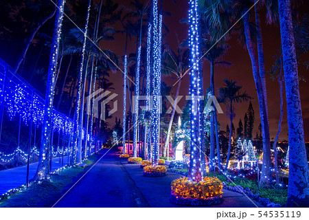 沖縄 冬の東南植物楽園 イルミネーションの写真素材