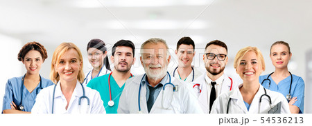 Doctor working in hospital with other doctors. 54536213