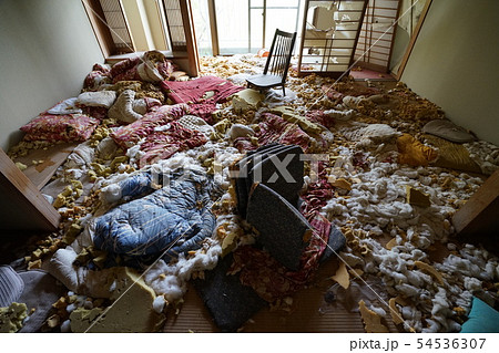 小豆島　寒霞渓荘　内部　客室　横撮り 54536307