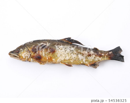 天然アユの塩焼き 天然アユの塩焼き 54536325
