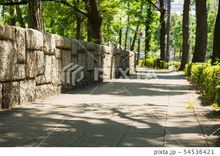 上町筋 上町筋 54536421