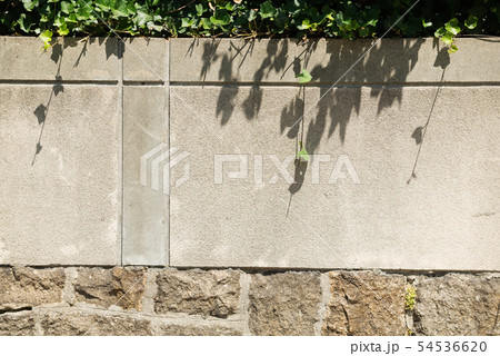 上町筋 上町筋 54536620