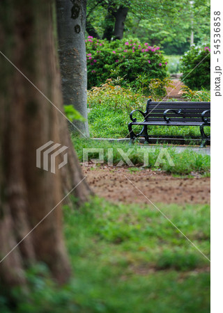 雨の靭公園 54536858