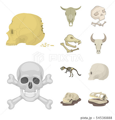 Vector illustration of skeleton and character logo. Collection of skeleton and halloween stock Vector illustration of skeleton and character logo. Collection of skeleton and halloween stock 54536888