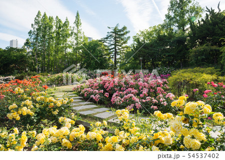 靭公園 靭公園 54537402