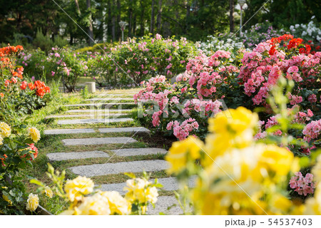靭公園 靭公園 54537403