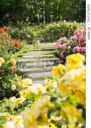 靭公園 靭公園 54537404