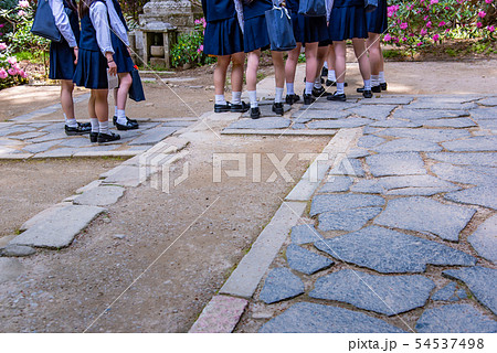 奈良県　女人高野　新緑の室生寺　本堂前にたたずむ高校生たち 54537498