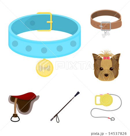 Isolated object of pet and accessories symbol. Set of pet and shop stock symbol for web. 54537826