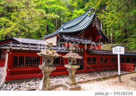 （栃木県）日光　二荒山神社　本殿 54538239