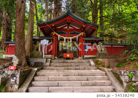 （栃木県）日光　二荒山神社　登拝門 54538240