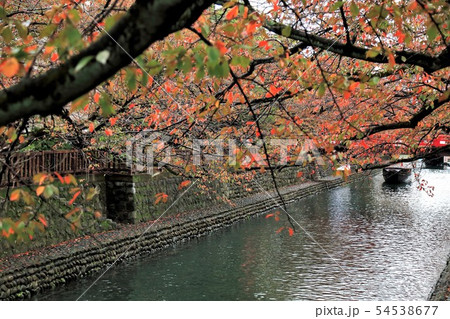 奥の細道結びの地大垣・80 54538677