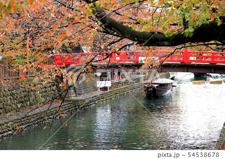 奥の細道結びの地大垣・81 54538678