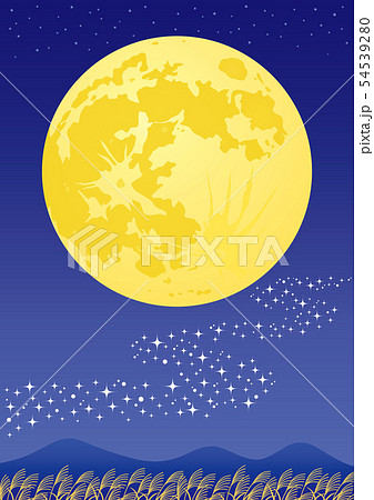 お月見　月見会　広告　A4　チラシ 54539280