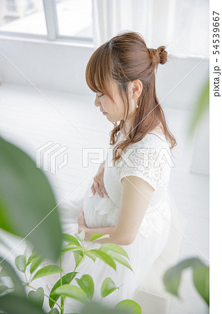 マタニティ マタニティ 54539667