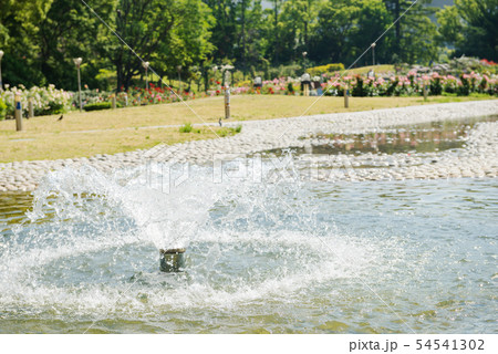 靭公園 54541302