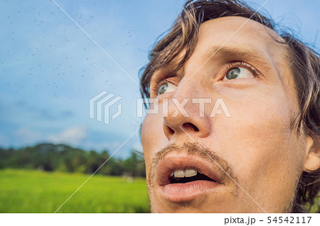 Mosquitoes around a man on the nature on the field Mosquitoes around a man on the nature on the field 54542117