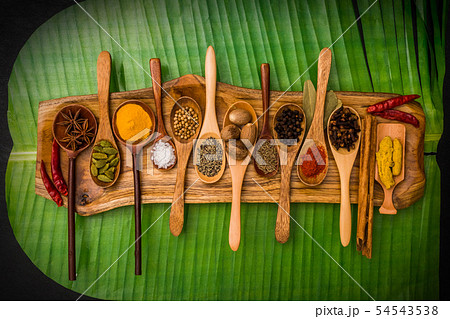 インド料理のスパイス集合写真　Spice India dish of the curry 54543538