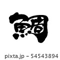 鯛 54543894