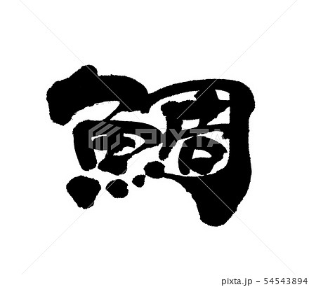 鯛 54543894