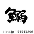 鰯 54543896