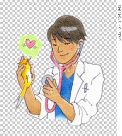 イケメン 獣医師 のイラスト素材