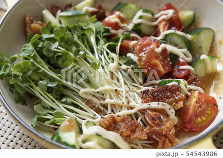 鶏皮サラダ 鶏皮サラダ 54543986