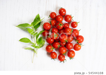 Juicy fresh red tomatoes 54544108