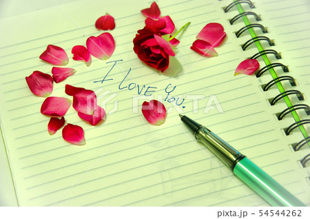 Love note book, Valentines Day 54544262