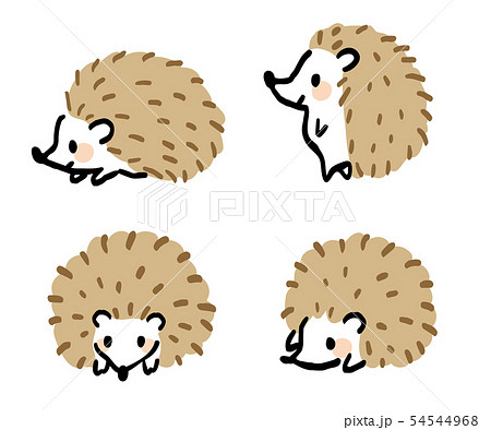 Hedgehog Illustration Set Stock Illustration