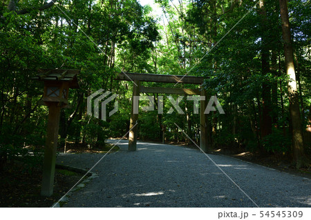 伊勢神宮外宮より 伊勢神宮外宮より 54545309