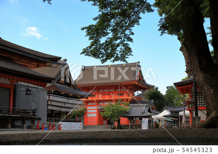 八坂神社 境内 八坂神社 境内 54545323