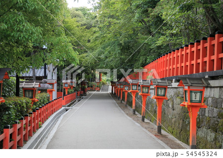 八坂神社 境内 八坂神社 境内 54545324