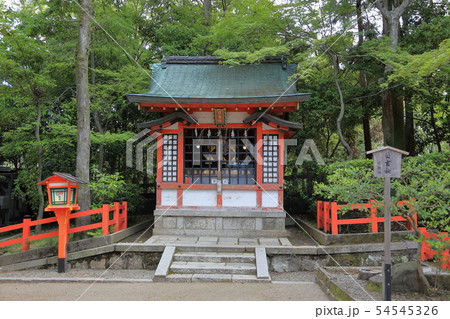 八坂神社 境内 八坂神社 境内 54545326