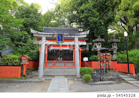 八坂神社　境内 54545328