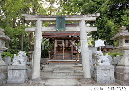 八坂神社 境内 八坂神社 境内 54545329