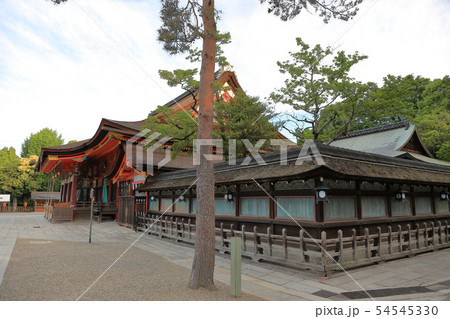 八坂神社　境内 54545330