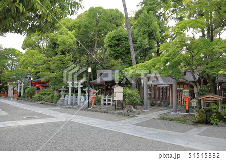 八坂神社　境内 54545332
