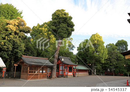 八坂神社　境内 54545337