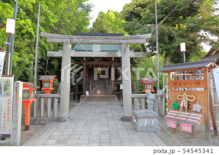 八坂神社　境内 54545341