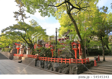 八坂神社　境内 54545343