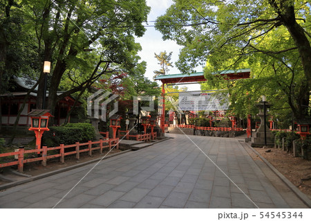 八坂神社　境内 54545344
