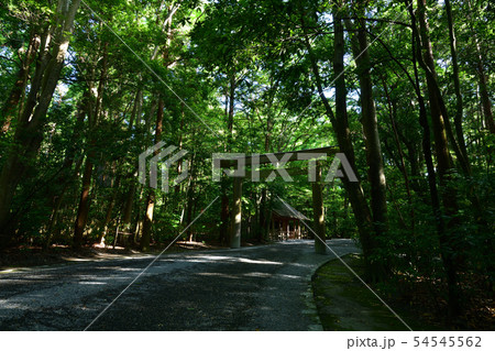 伊勢神宮外宮より 伊勢神宮外宮より 54545562