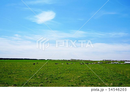 牧場風景　興部町 54546203