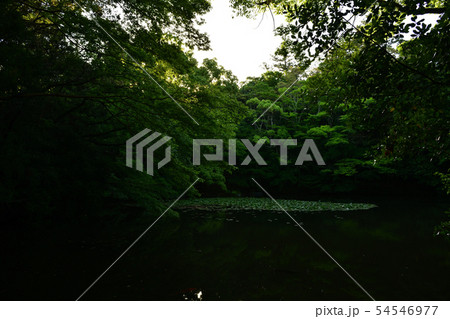 伊勢神宮内宮より 伊勢神宮内宮より 54546977