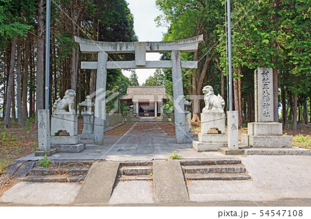 正八幡神社 正八幡神社 54547108