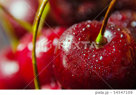 Close up of fresh cherry berries with water drops. Close up of fresh cherry berries with water drops. 54547109